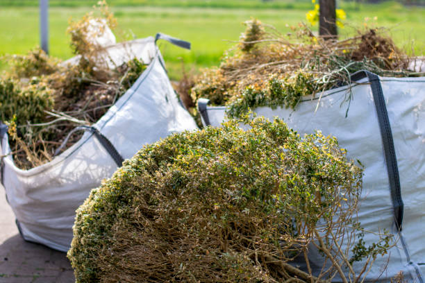 Best Hoarding Cleanup  in Marlboro Village, MD
